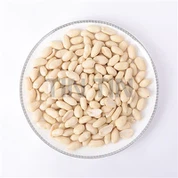 Oqartirilgan yeryong'oq yadrolari