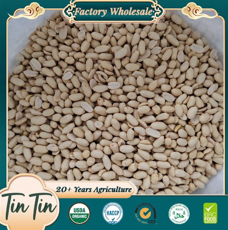 2025 yangi ekin peneırığı yadroni