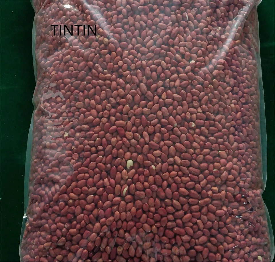 Zavod yuqori sifatli qizil teri yerfıstığı yadrolarini etkazib beradi