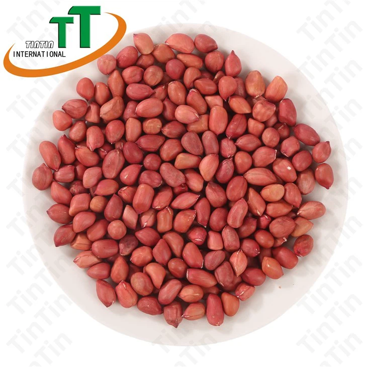 Yangi ekin xom qizil po'stlog'i terisi bilan yeryong'oq yadrosi