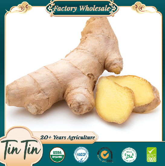 Premium muzlatilgan zanjabil Tin Tin