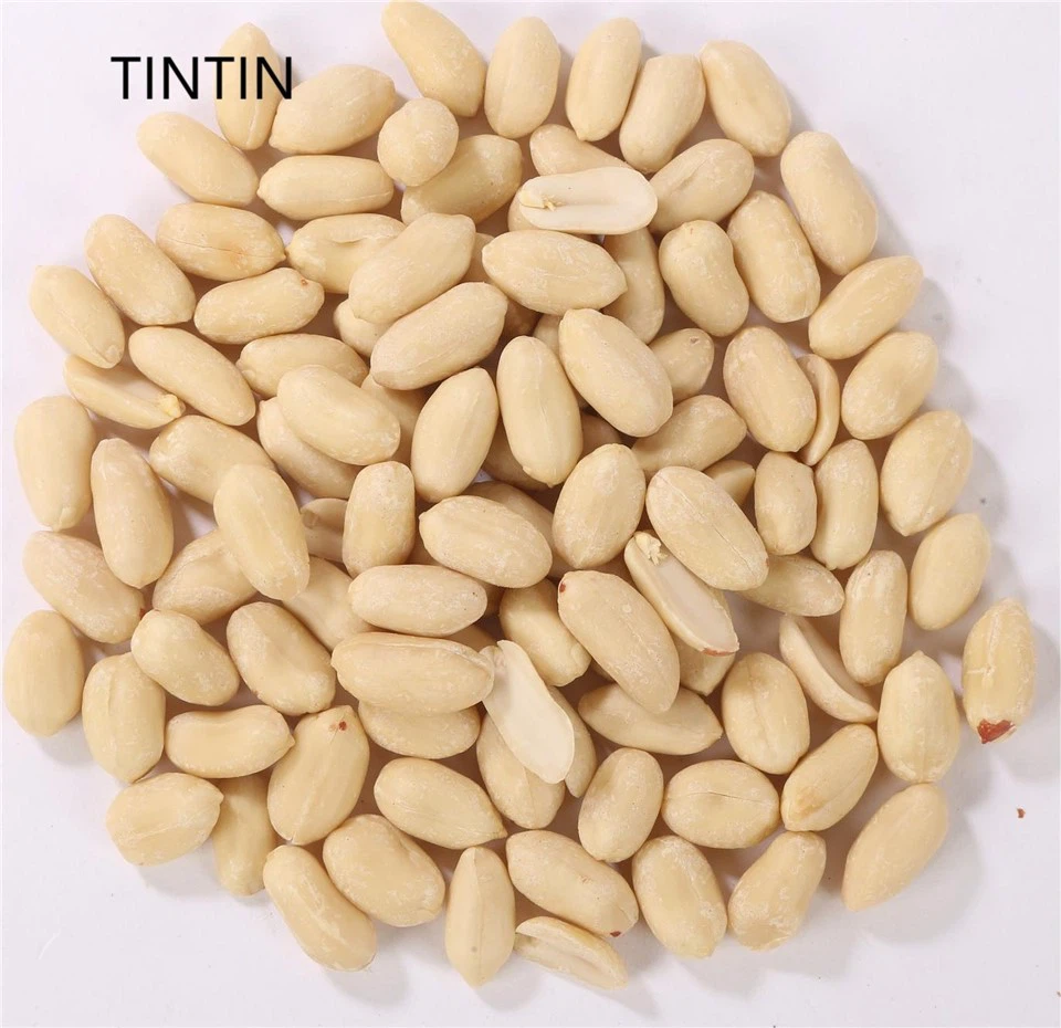 Roasted Peanut Blanched Peanuts PEANUT KERNEL