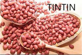 Xitoy yong'og'i yadrolari