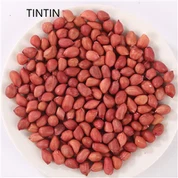 Issiq sotiladigan Xitoy qizil terisi yeryong'oq yadrolari