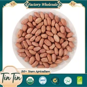 Ulgurji eng yaxshi sifatli yerfıstığı yadrosi yangi hosil